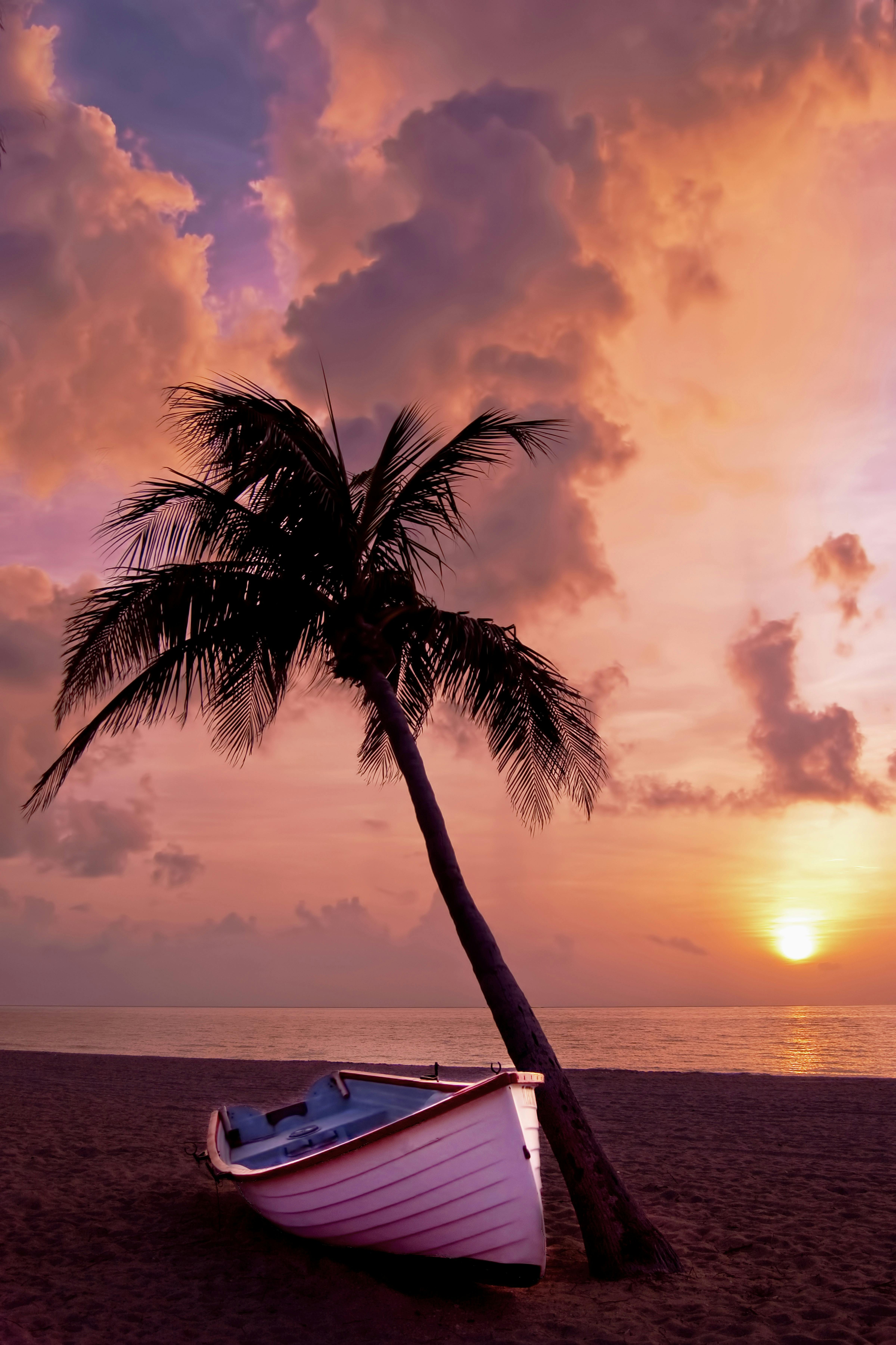 About Beach Paradise